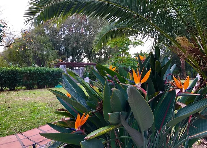 Apartament Puerto Banus Fantastico Marbella